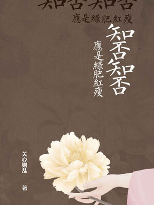 知否知否应是绿肥红瘦（原著小说）