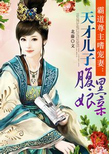 天才儿子腹黑娘亲